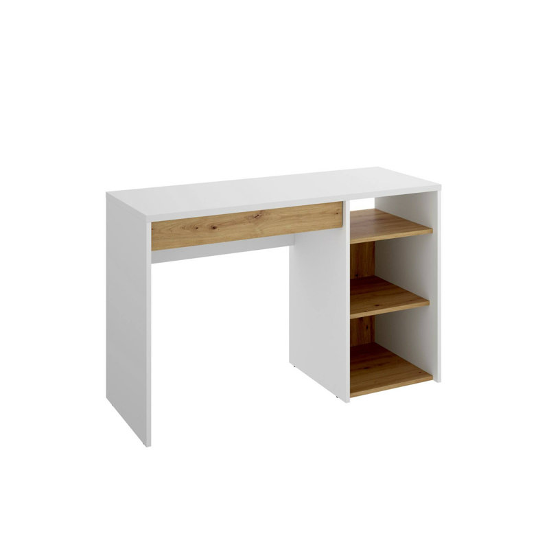 Monterius Computer Desk