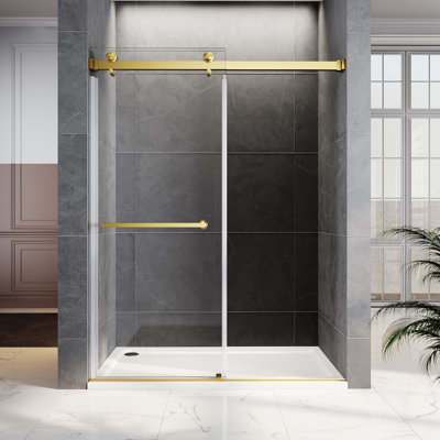 Porte de douche coulissante double sans cadre de 61 à 65 po x H 76 po