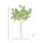 19" Seedling Beech Greenery Bundle-351066966