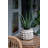 Mosley 2-Piece Planter Set-1509251171