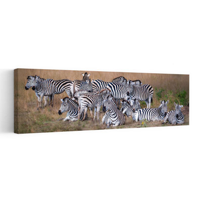 Zèbres d'Afrique au repos, art zébré contemporain, faune
