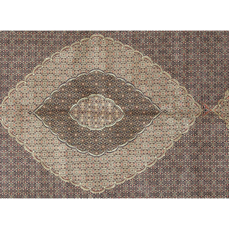 Shah Wool Oriental Area Rug
