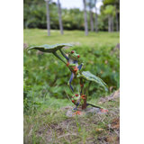 Lotus Leaf with Red-Eyed Tree Frog