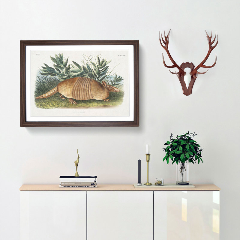 Armadillo 1 Piece Single Picture Frame Painting, 24cm H x 33cm W x 2cm D, Walnut