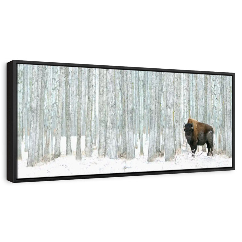 Alberta Winter, Cadre flottant noir, 37 po x 13 po
