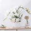 Roudy Arrangement-1752414518