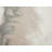 Ezmae Abstract Indoor Rug-1047099092