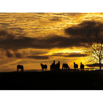 " Horses At Sunset " by Aledanda