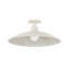 TEELIN Flush Mount