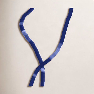 Blue Rope 1 Print by Jacques Pilon