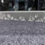 Cleartex TrYlok PVC Lipped Chair Mat Low Pile Carpets up to 6mm - 90 x 120cm