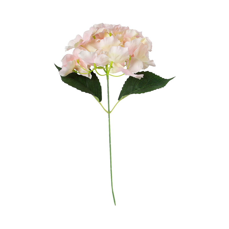 Hydrangea Arrangement