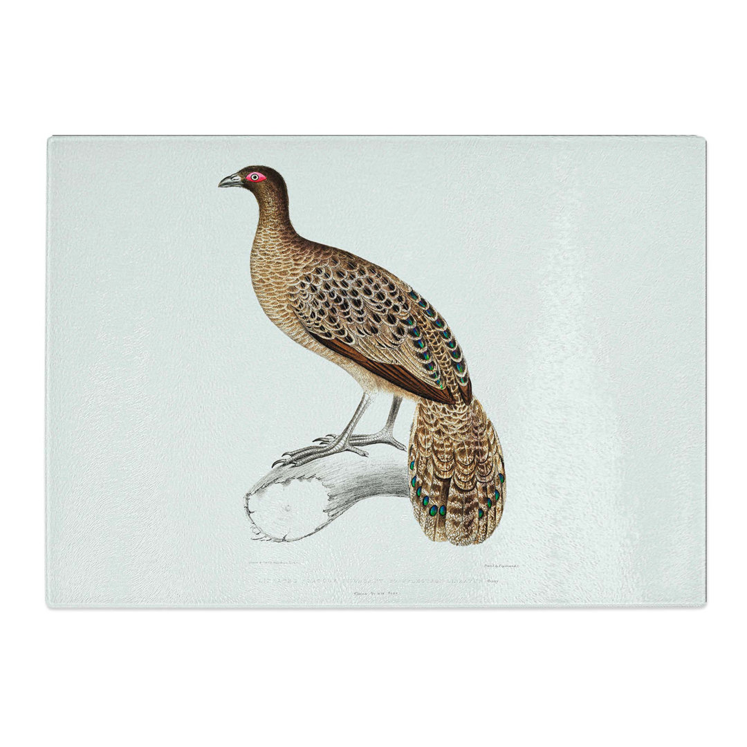 Glass Lineated Peacock Pheasant Illustration by John Edward Gray Chopping Board