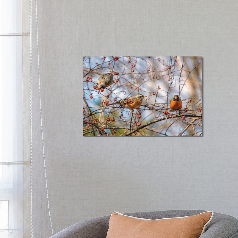 Spring Robins II by David Gardiner - Print on Canvas, Wrapped Canvas, 66.04 cm H x 45.72 cm W x 3.175 cm D