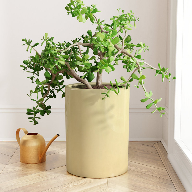 Pot à fleurs en céramique Hailee, Crème