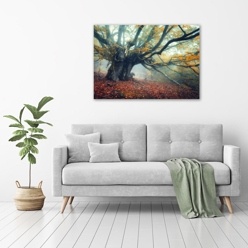 Old Tree - Wrapped Canvas Print
