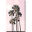 «Pink Tropics» par Natalie Carpentieri - photographie-688080114-688080115