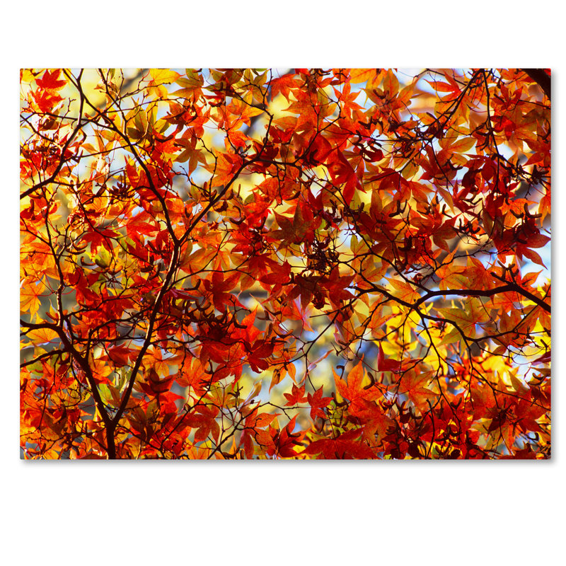Ann «Autumn Scene», reproduction de photo sur toile tendue Ann, H 14 po x l 19 po