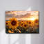 Art mural en verre trempé champ de tournesol-129908539