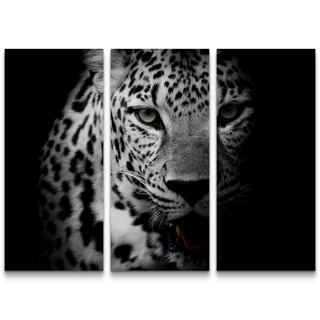 3-tlg. Leinwandbilder-Set Portrait eines Leoparden