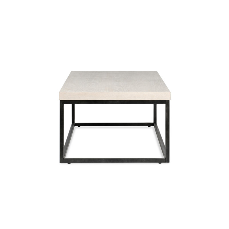 Brayton 52" White Wash Rectangular Coffee Table with Metal Frame