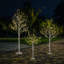 LED Lighted Trees & Branches