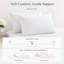Housse de coussin en duvet d'oie blanche 100% coton-1670354896