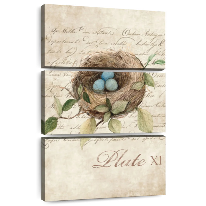 Étude du nid d'oiseau Brampt, H 45 po x l 28 po