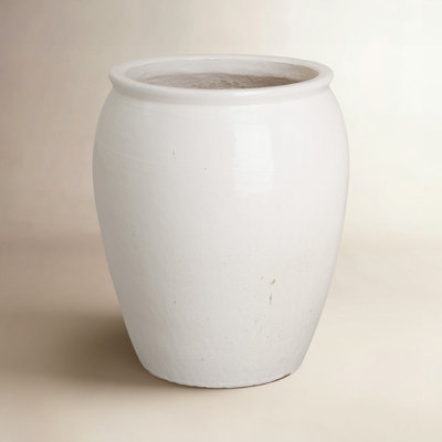Proberta Ceramic Pot Planter