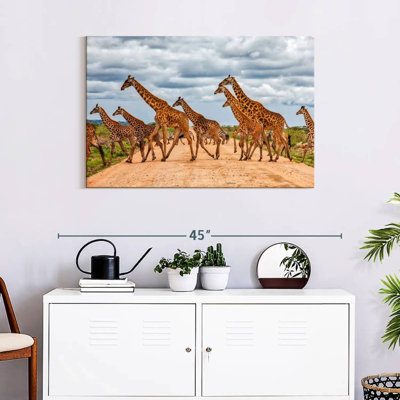 Girafes de Brampt, animaux de safari