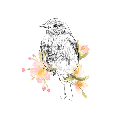 «Robin Sketch II» par Emma Scarvey - peinture sur toile tendue