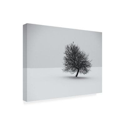 Art sur toile «Bachelor Renate Wasinger Winter»