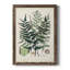 " Collected Ferns VII " Painting Print-356897288-356897294