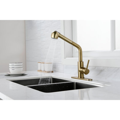Utility Sink Faucets Single-Handle Pull-Out Laundry Faucet With Dual Spray Function In Stainless Spot Resistant