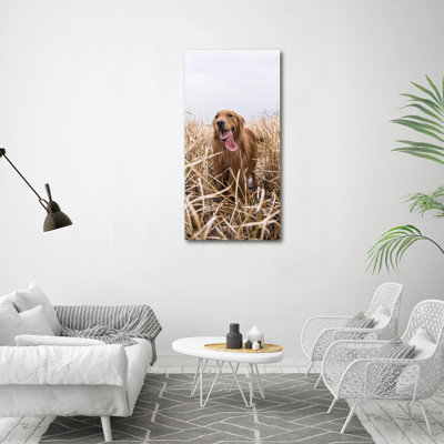 Golden Retriever - Wrapped Canvas Print