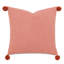 Phineas Square Pillow Cover & Insert