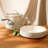 Bloomhouse™ 4 - Piece Aluminum Cookware Set