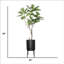 84 po. Arbre à pain artificiel en pot 84 po