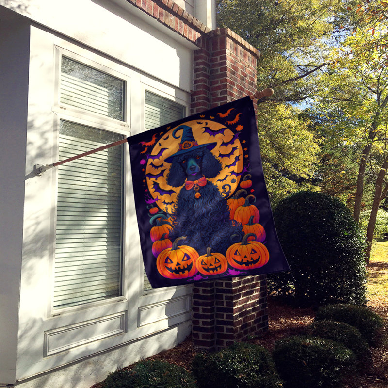 Jakameron Double Sided Polyester Halloween Garden Flag, 40" x 28"
