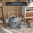 Timeless Chinese Temple Jar-311723259-311723239