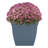Fulgentas Pot Planter