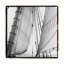 «Under Sail II», reproduction de photo sur toile tendue-33426340