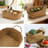 Seagrass Storage Baskets With Handles, Stackable Woven Organizer Set Of 3, Natural Rattan Shelf Bin For Home Office Organization