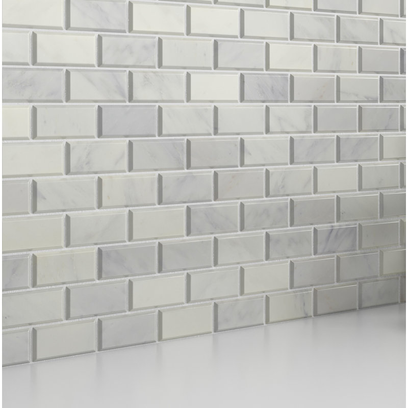Marble Winter Frost 12 in. x 12 in. Polished Marble Wall Tile (9.85 sq. ft./Case)