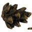 Fruits Of Nature Novelty Knob