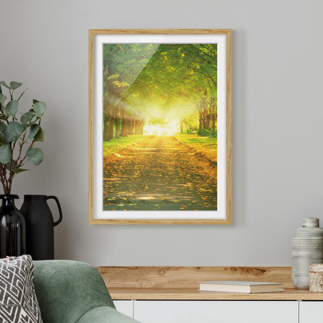 Gerahmtes Poster Autumn Avenue