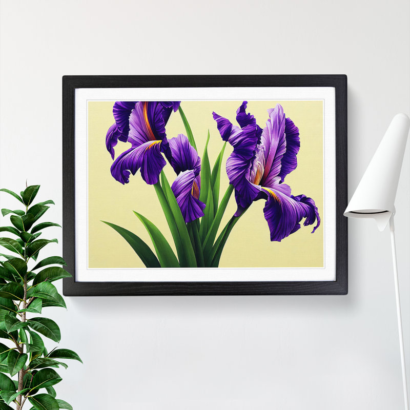 Contemporary Iris Flowers - Framed Print, 34cm H x 46cm W x 2cm D, Black