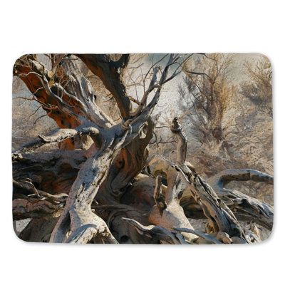 Gnarled Tree Bath Mat Nature Bathroom Decor Mystical
