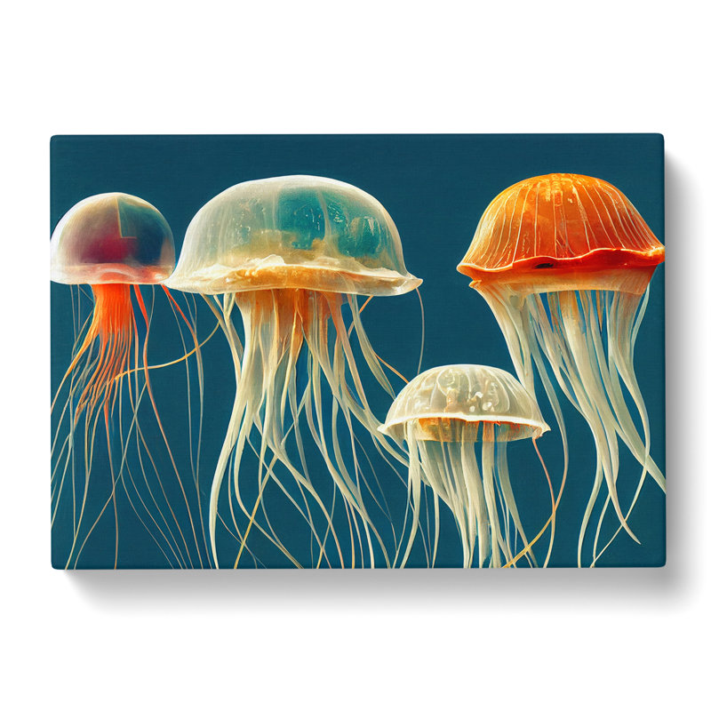 Family Of Jellyfish - Wrapped Canvas, 40cm H x 60cm W x 3cm D
