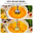 LINKChef 1000W 20-Speed 5-in-1 Immersion Hand Blender with Turbo Mode, Scratch-Resistant for Versatile Kitchen Tasks